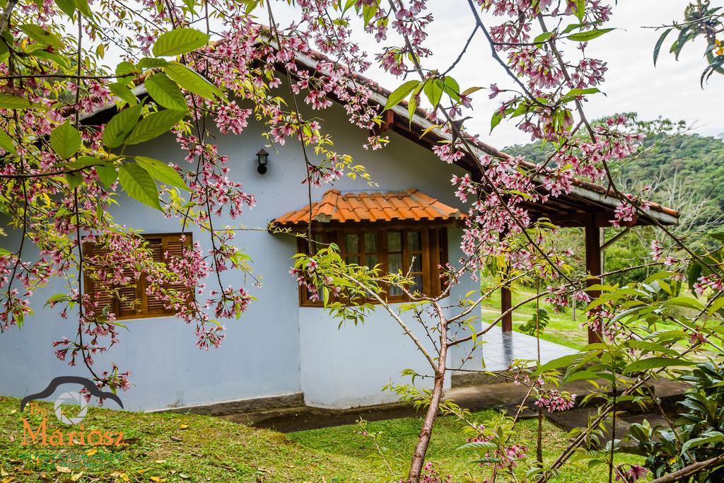 Estrada De Chao Monte Verde (Minas Gerais)