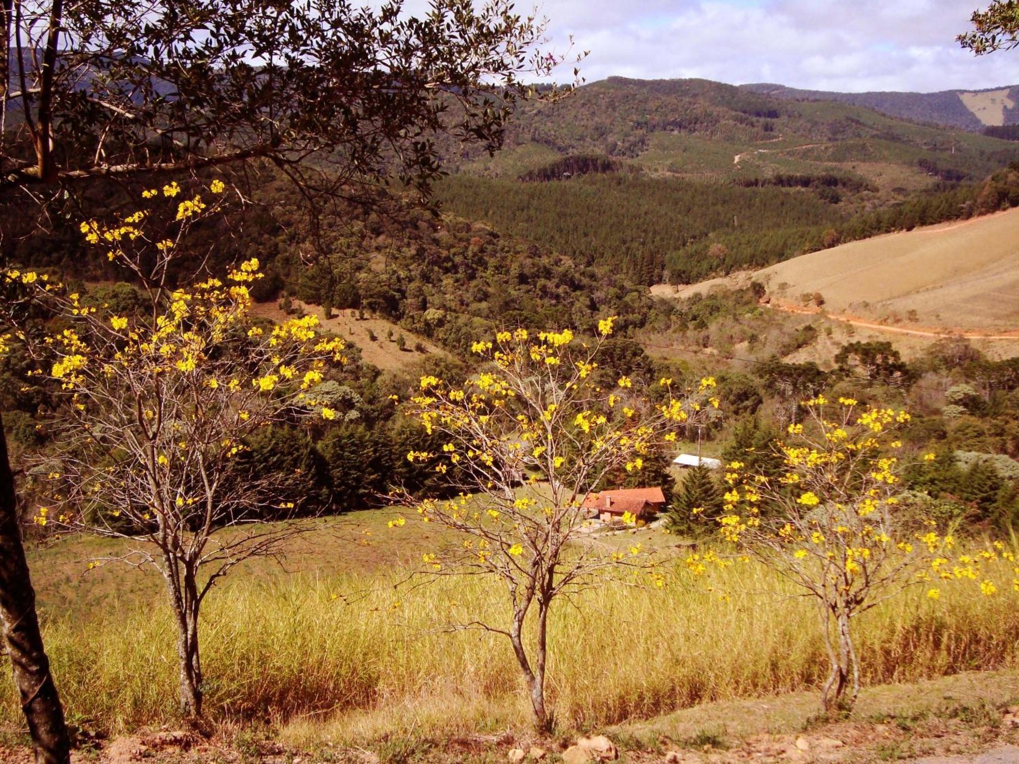 Estrada De Chao *